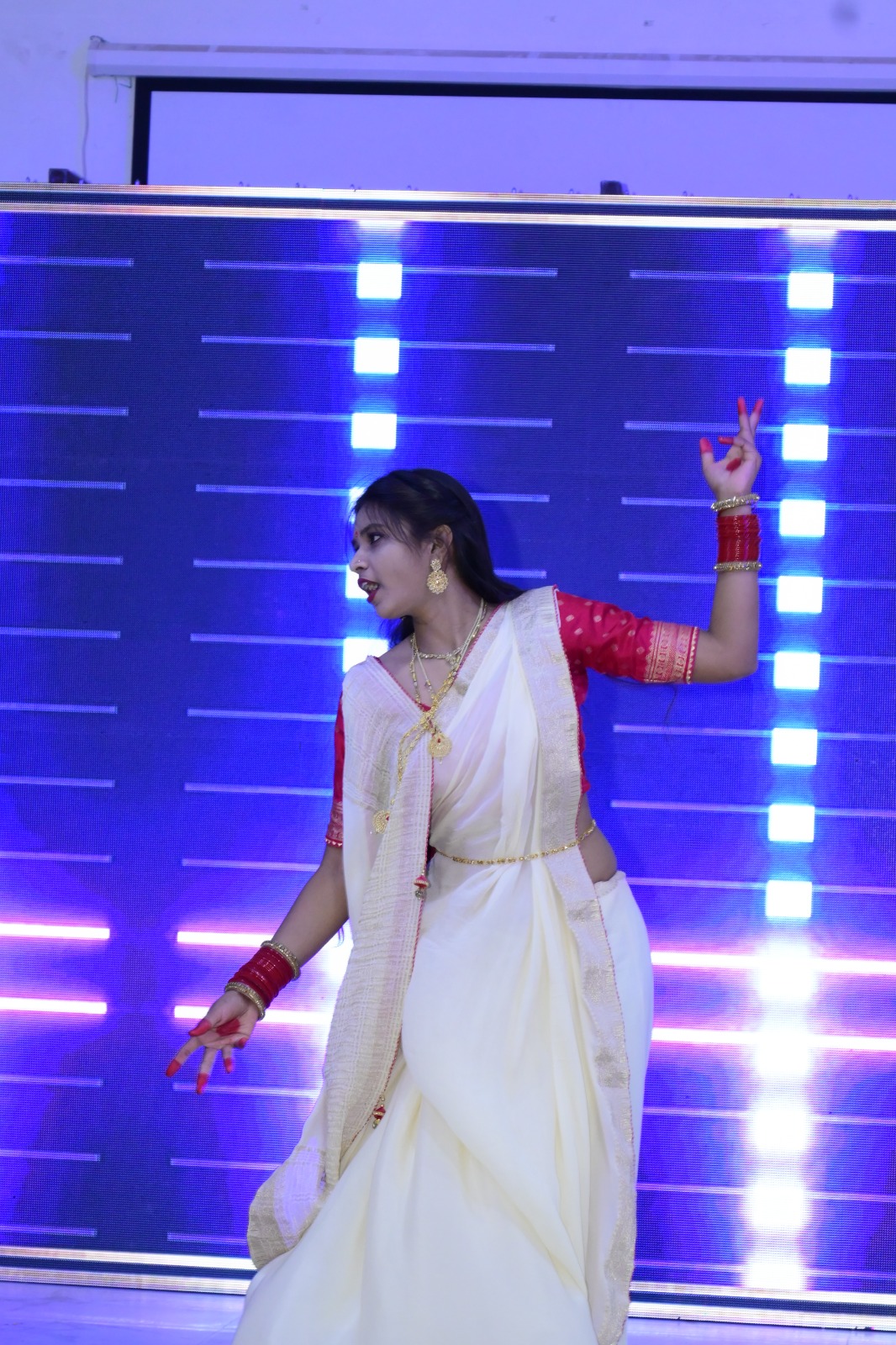 Cultural pride celebration